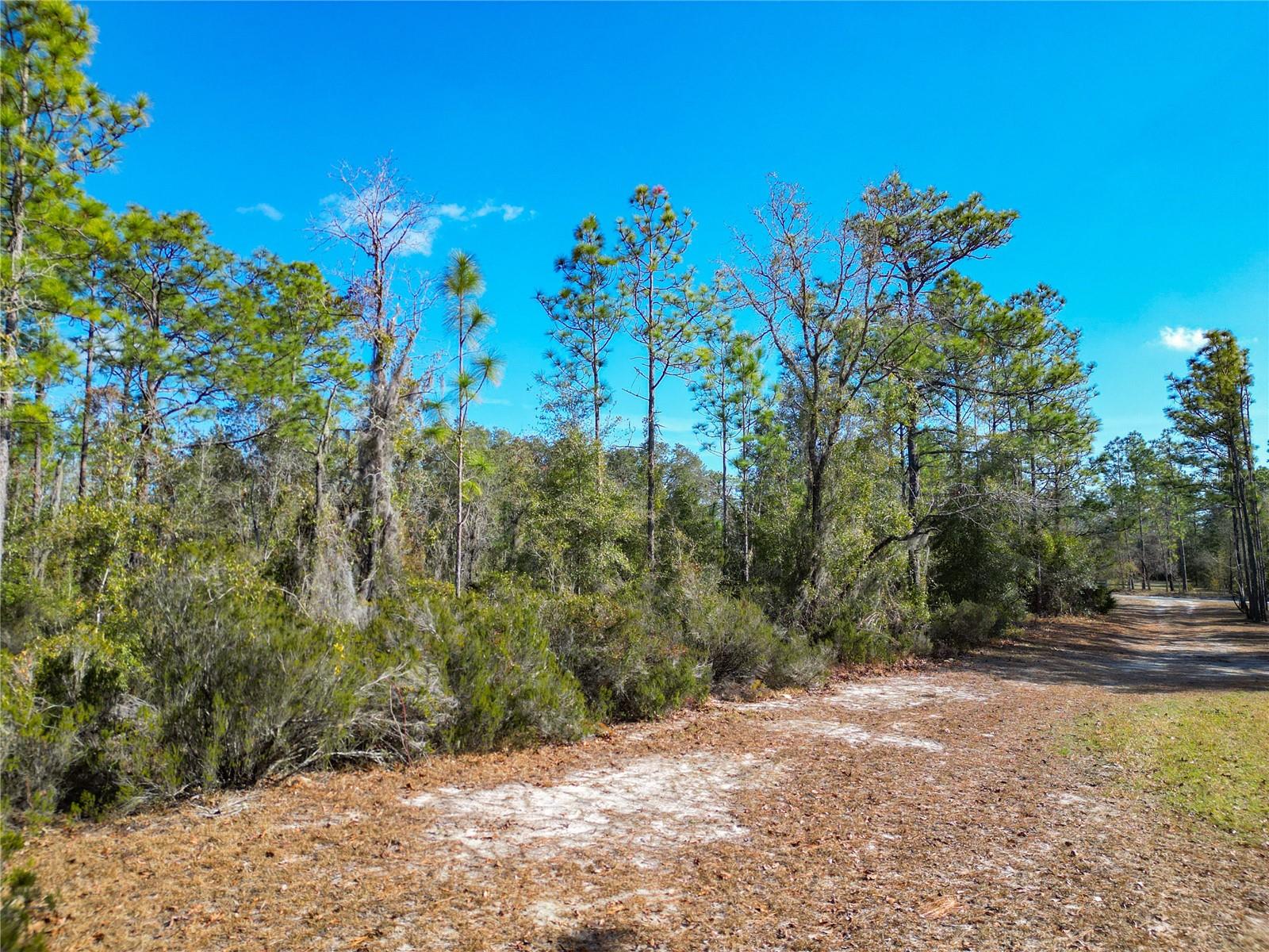 TBD NE 58TH ST, BRONSON, FL, 32621