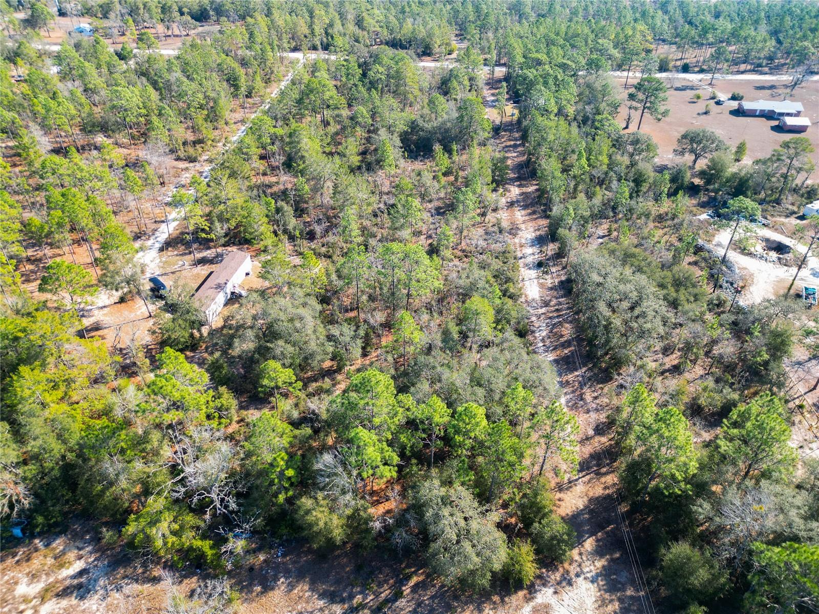 TBD NE 58TH ST, BRONSON, FL, 32621