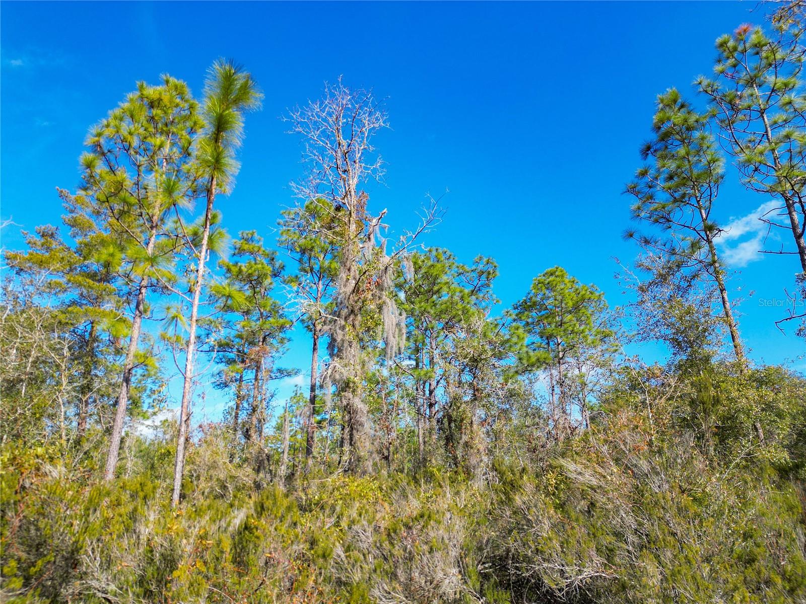TBD NE 58TH ST, BRONSON, FL, 32621
