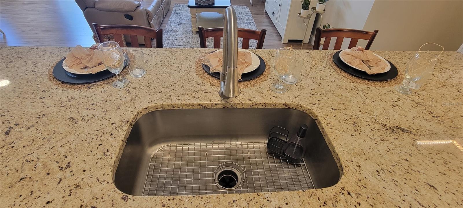 3621 AMELIA AVE, THE VILLAGES, FL, 32162