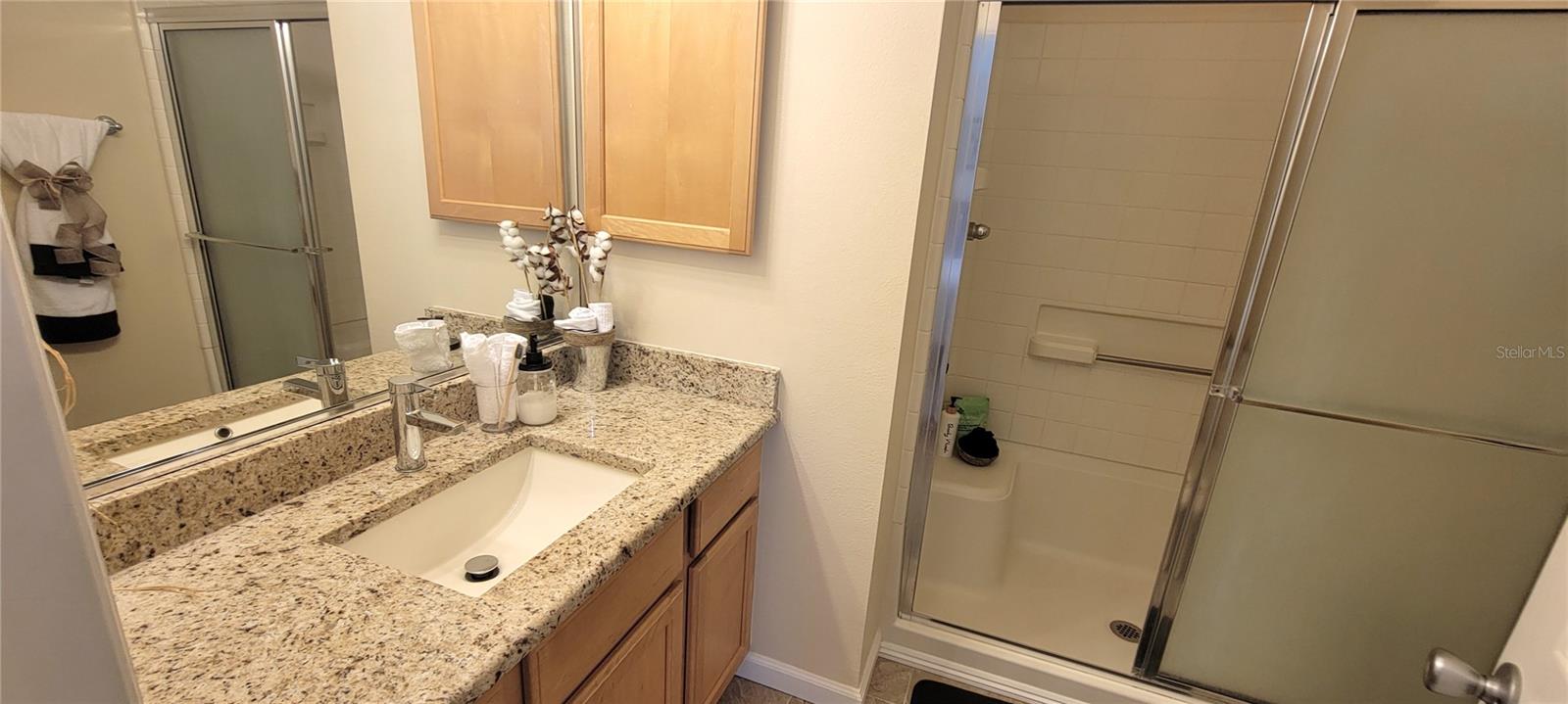 3621 AMELIA AVE, THE VILLAGES, FL, 32162