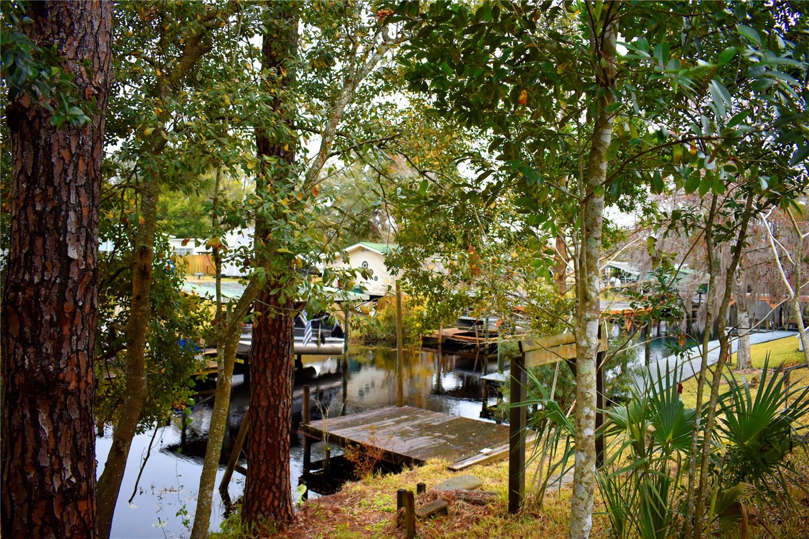 223 CLEARWATER RD, SATSUMA, FL, 32189