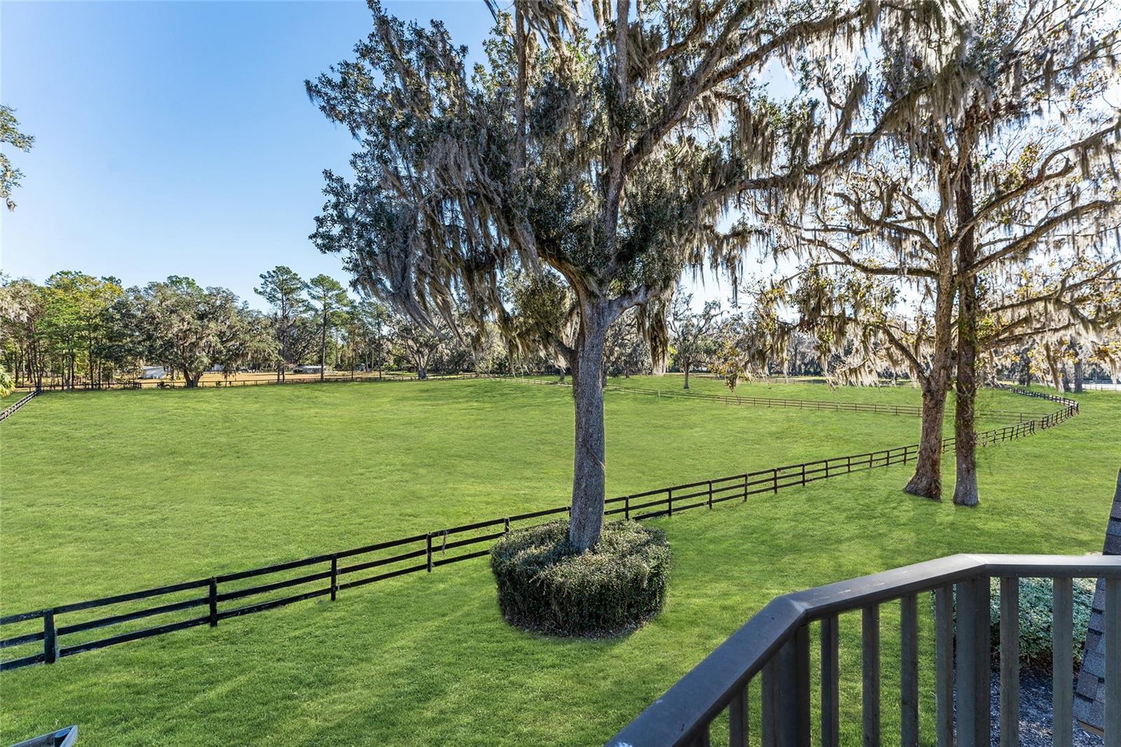 4990 SW 7TH AVENUE RD, OCALA, FL, 34471