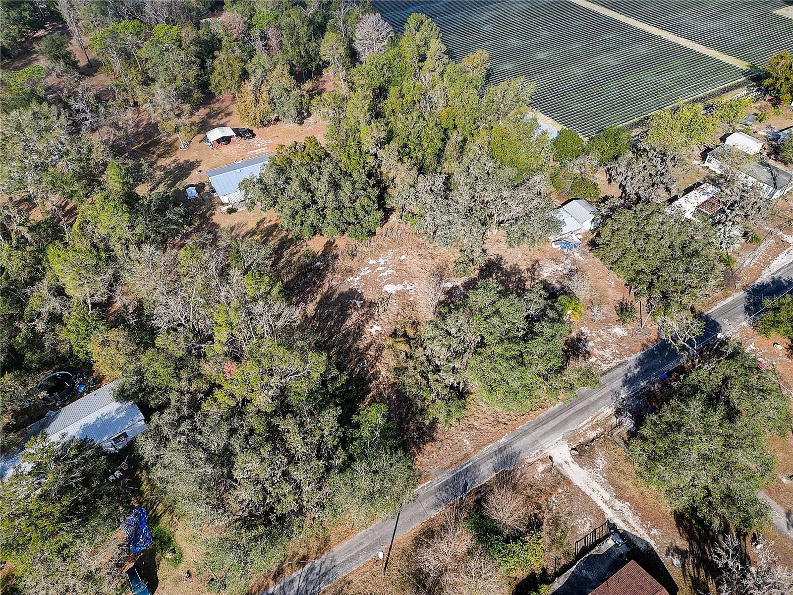 1409 WILKINSON DR, PLANT CITY, FL, 33566