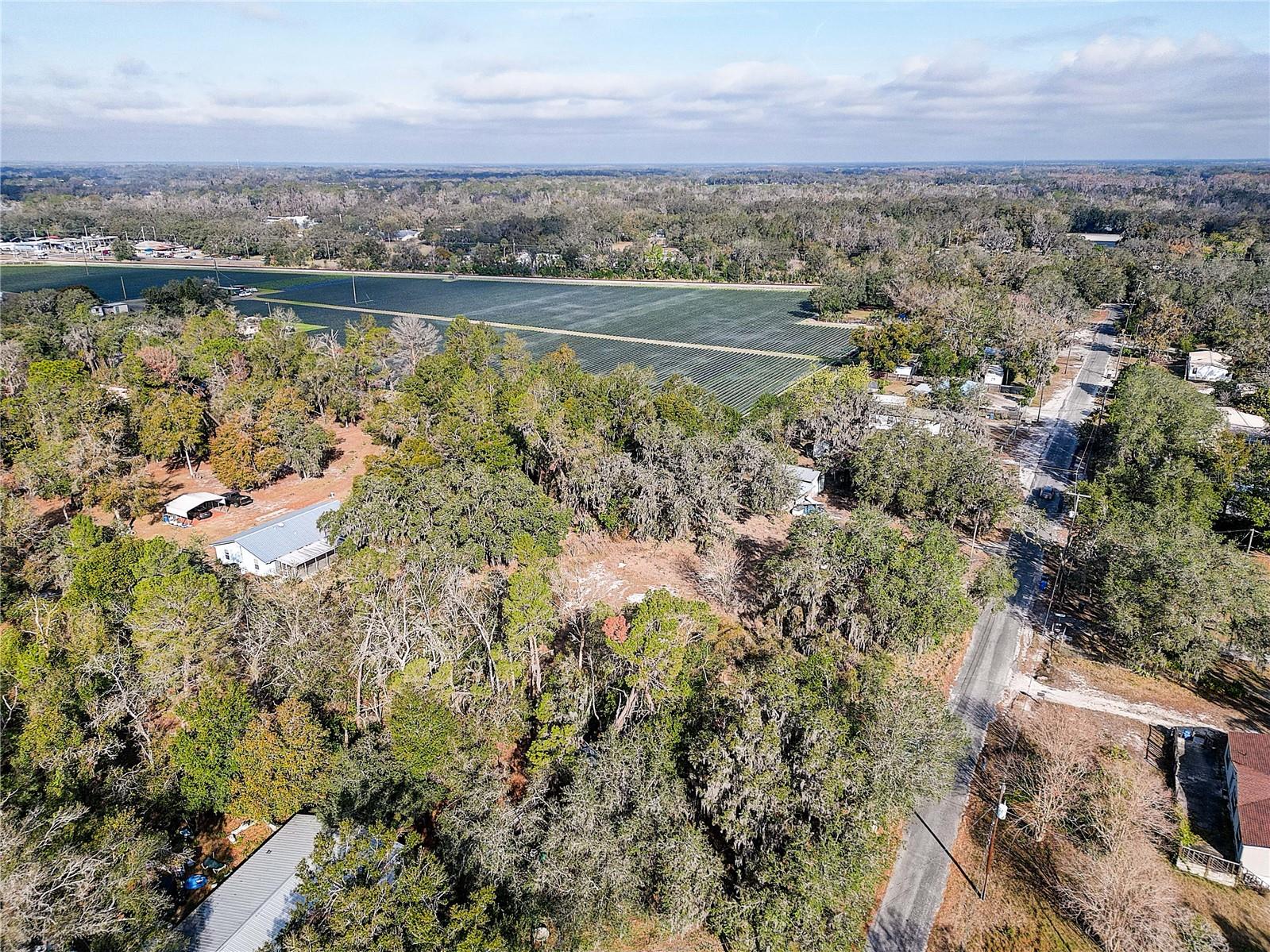 1409 WILKINSON DR, PLANT CITY, FL, 33566