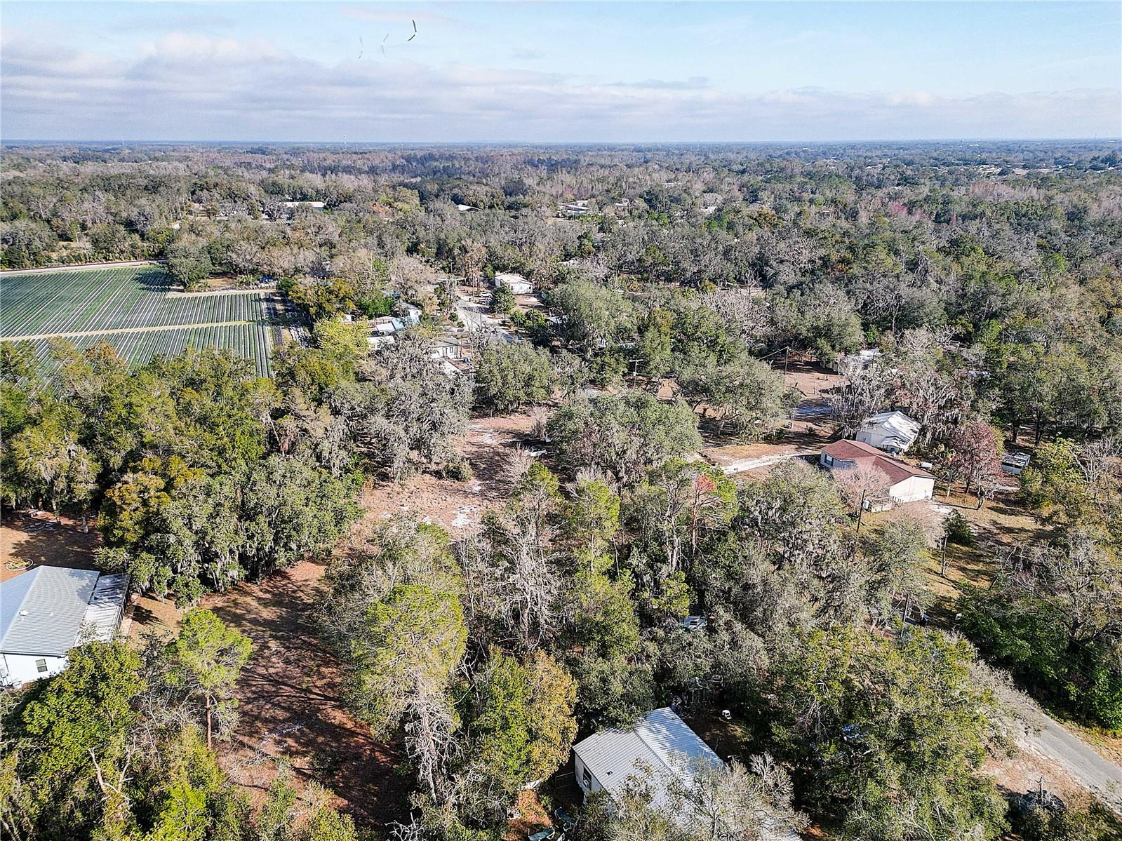 1409 WILKINSON DR, PLANT CITY, FL, 33566