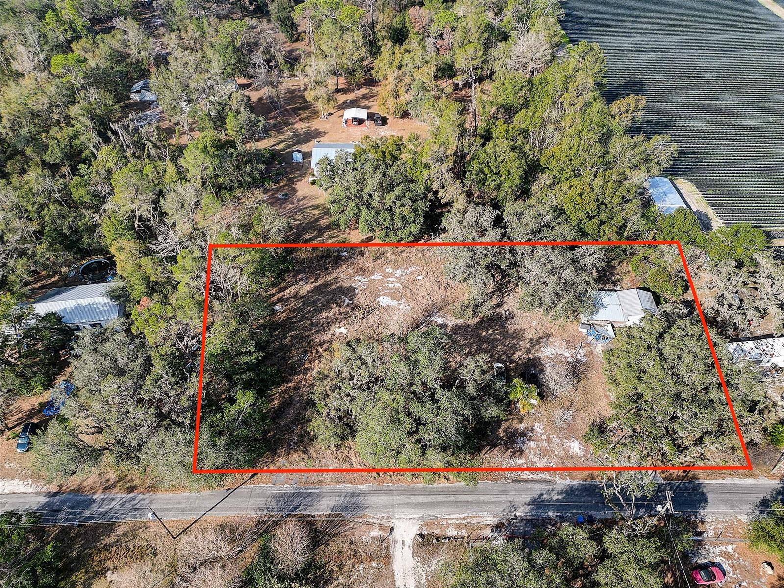 1409 WILKINSON DR, PLANT CITY, FL, 33566