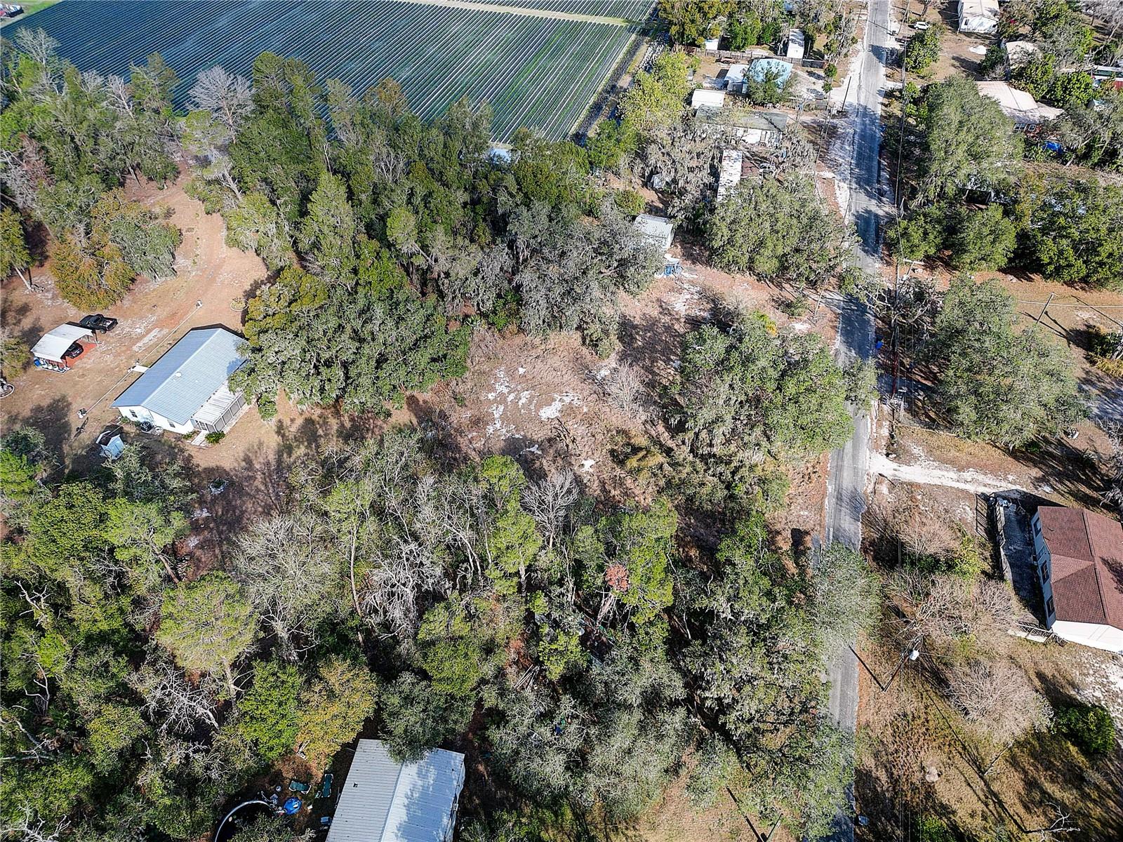 1409 WILKINSON DR, PLANT CITY, FL, 33566