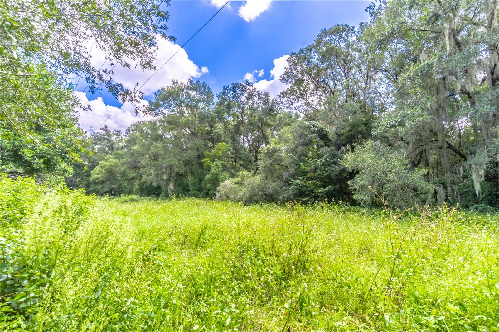 244 W FIESTA KEY LOOP, DELAND, FL, 32720