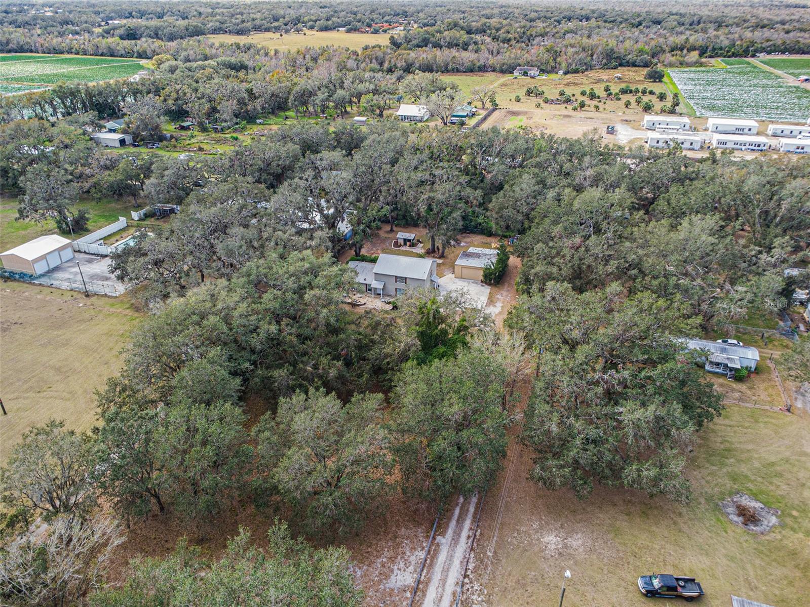 8575 CAREY RD, LITHIA, FL, 33547