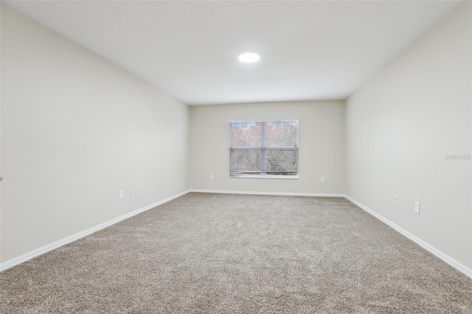 2915 TRINITY COTTAGE DR, LAND O LAKES, FL, 34638