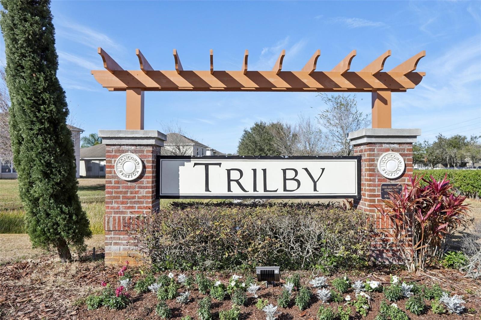 2915 TRINITY COTTAGE DR, LAND O LAKES, FL, 34638