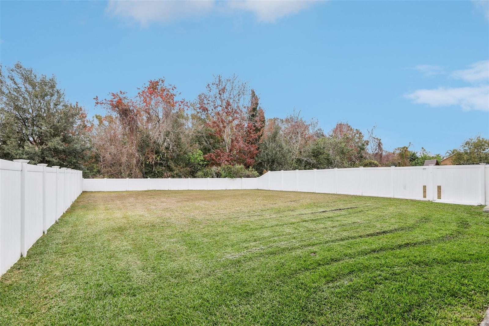 2915 TRINITY COTTAGE DR, LAND O LAKES, FL, 34638