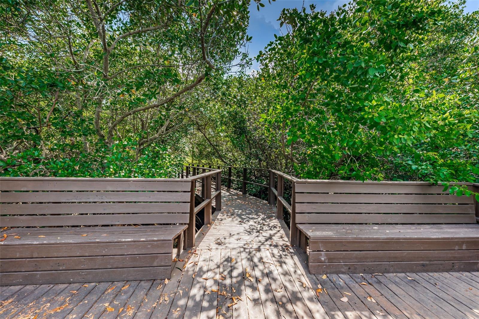 1855 BOUGH AVE #B, CLEARWATER, FL, 33760