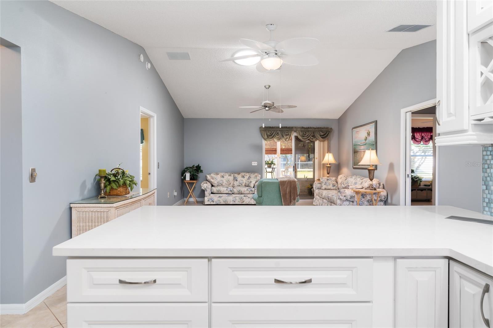 17370 SE 76TH FLINTLOCK TER, THE VILLAGES, FL, 32162