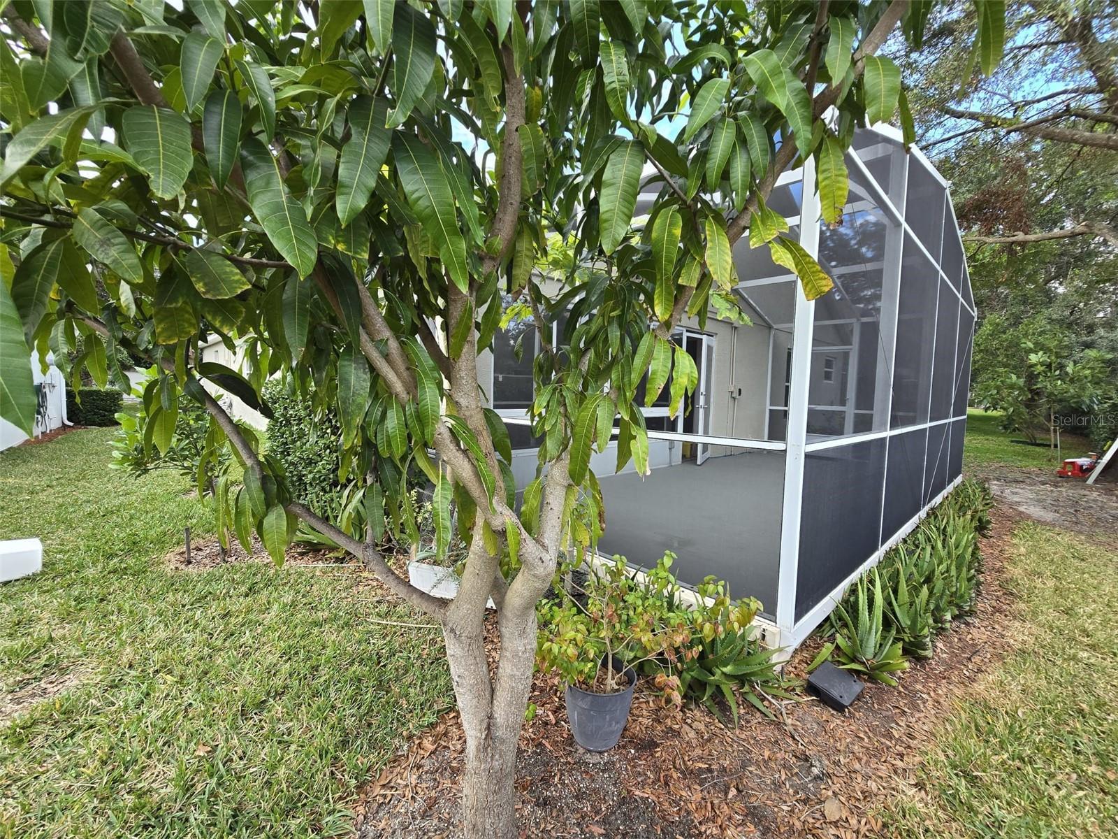 3840 EVERSHOLT ST, CLERMONT, FL, 34711
