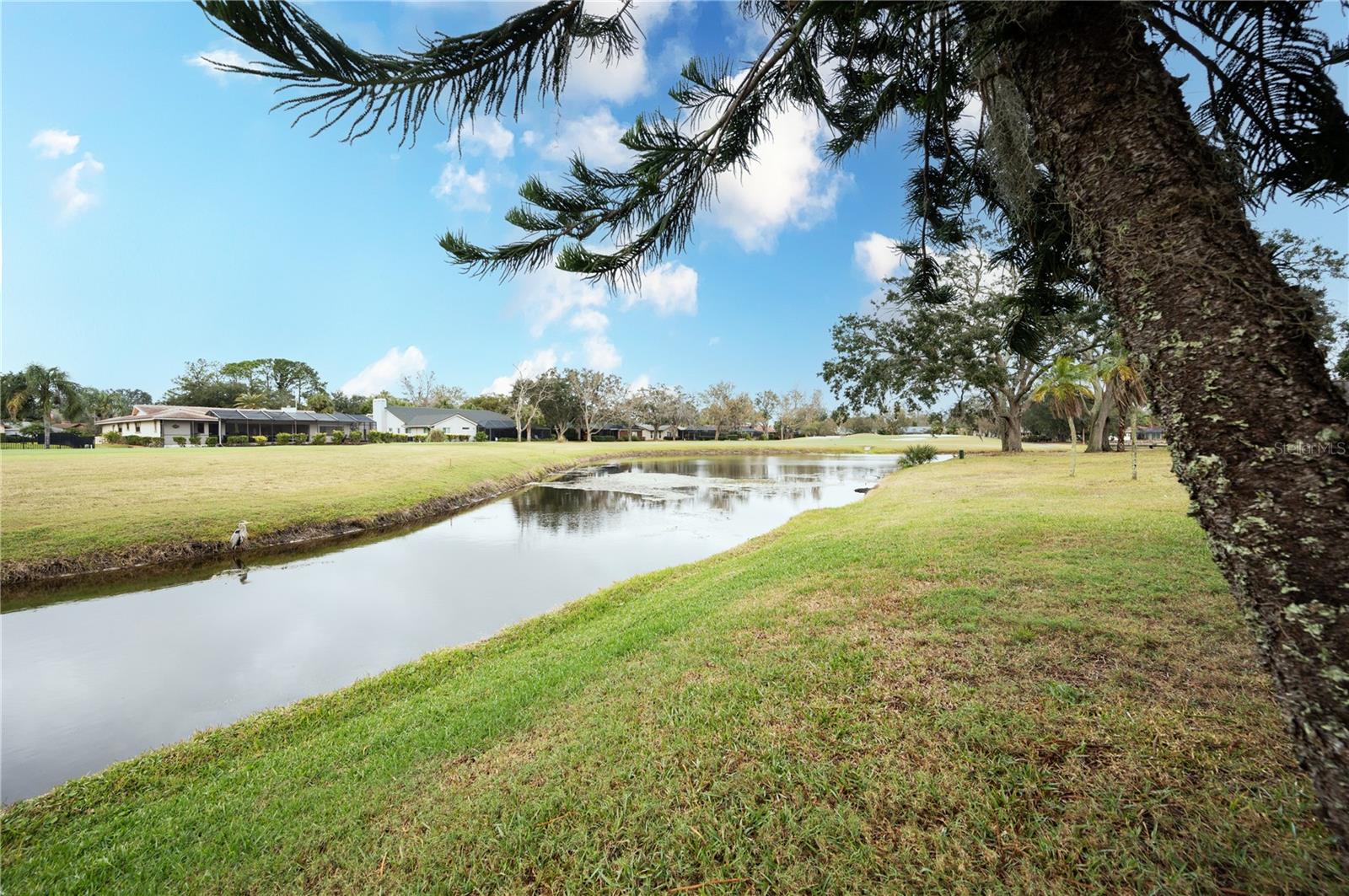 180 WATER OAK WAY, OLDSMAR, FL, 34677