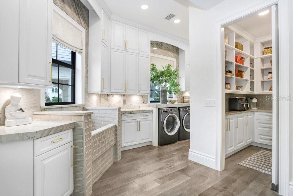 16220 VILLARREAL DE AVILA, TAMPA, FL, 33613