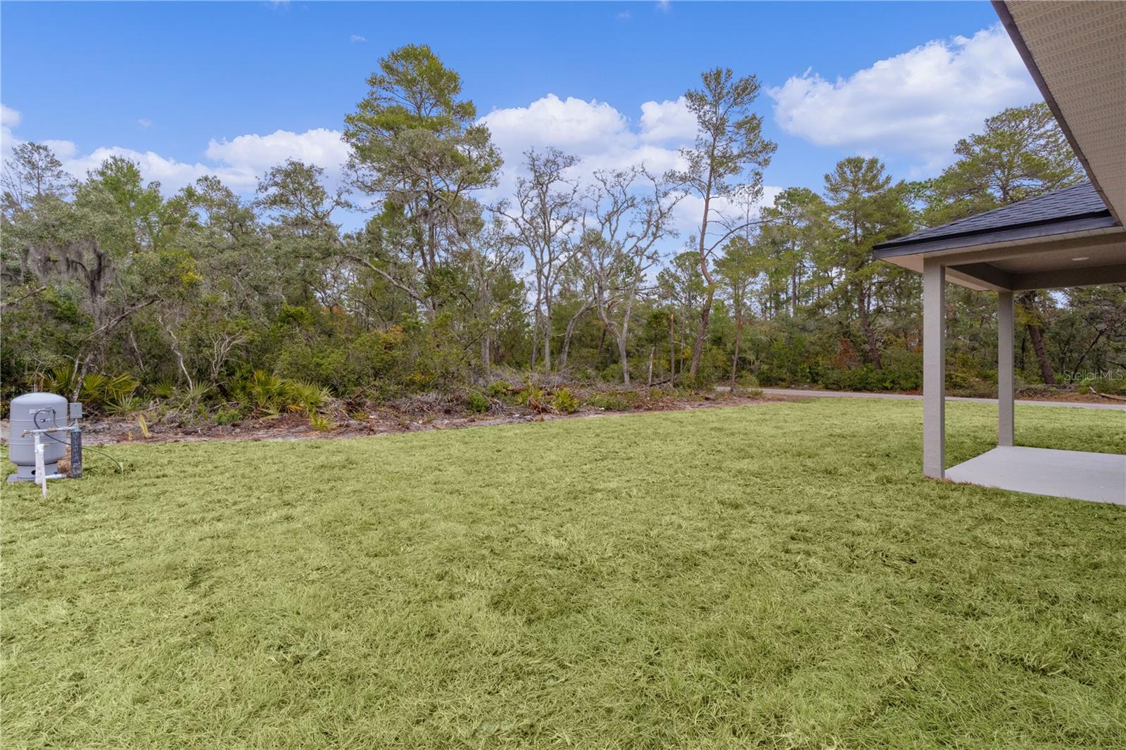 1 MALAUKA PASS CT, OCKLAWAHA, FL, 32179