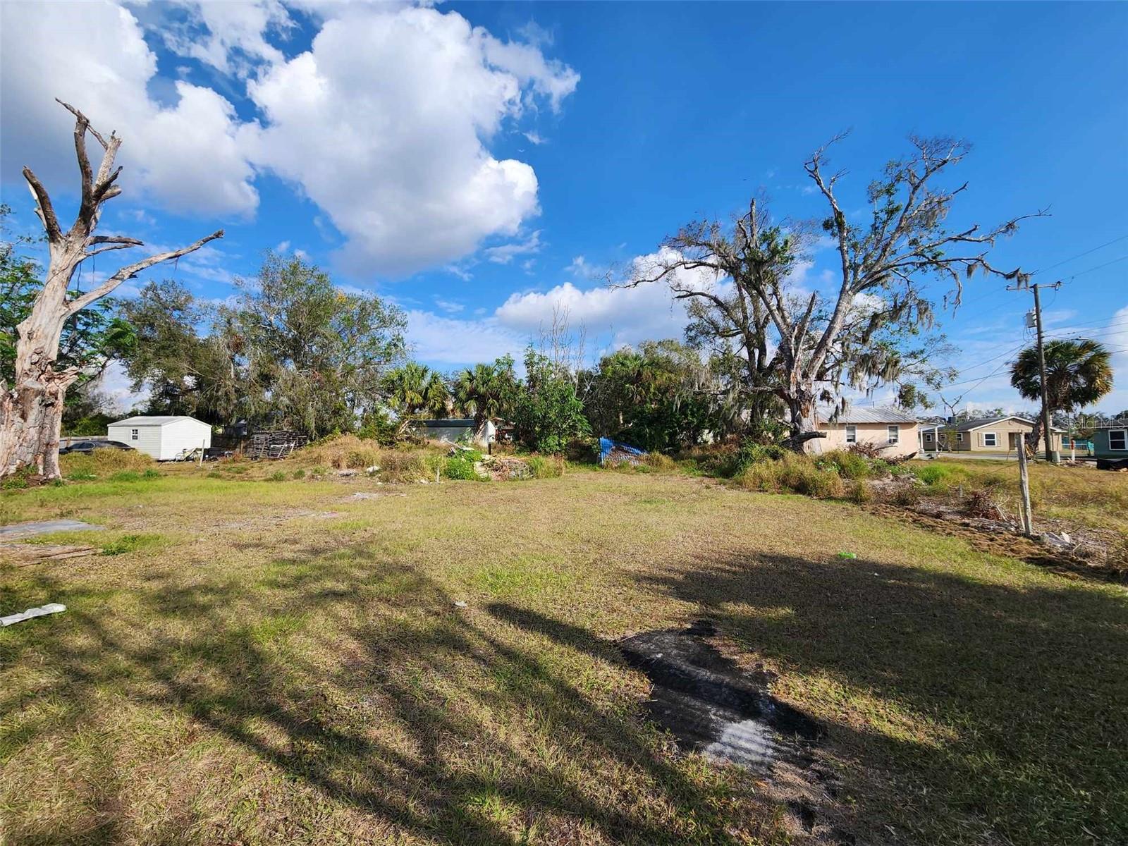 317 ALABAMA AVE, ARCADIA, FL, 34266