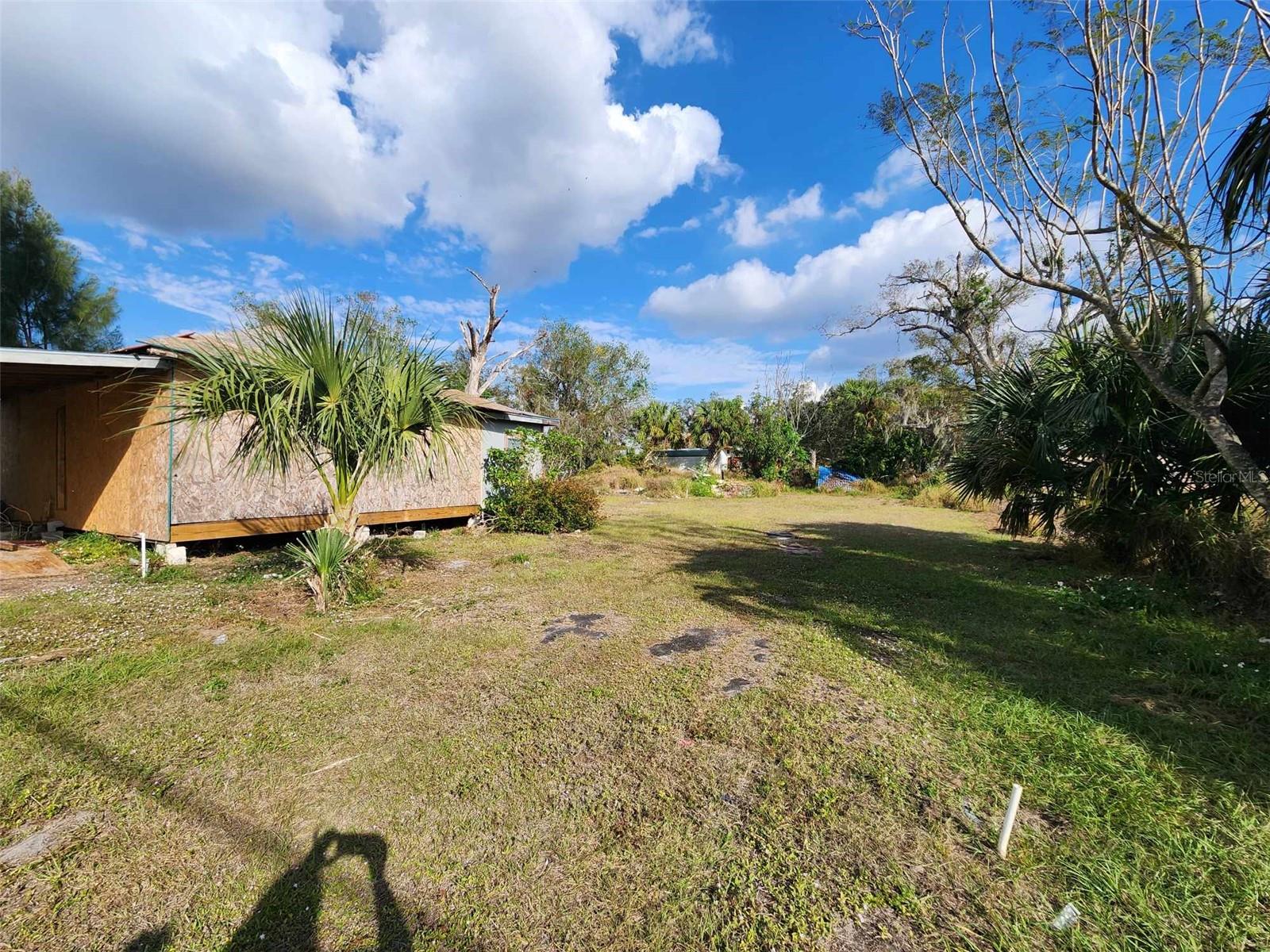 317 ALABAMA AVE, ARCADIA, FL, 34266