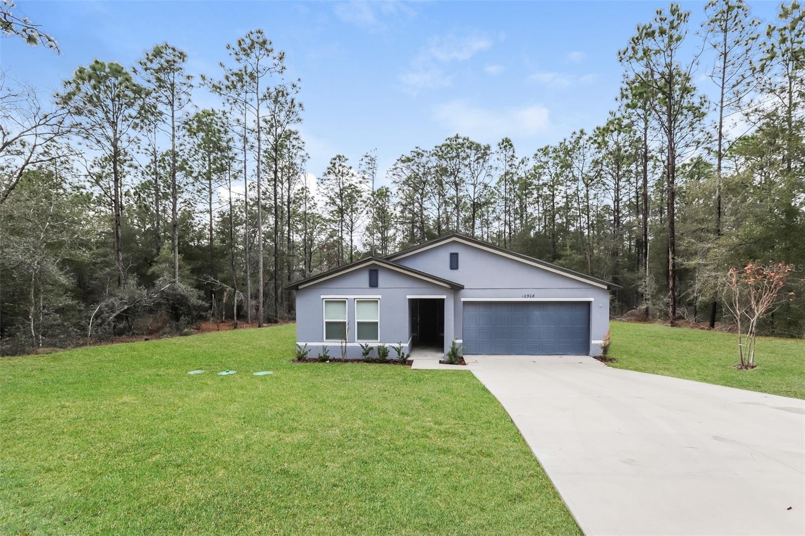 10908 N DRAGONIS DR, CITRUS SPRINGS, FL, 34433