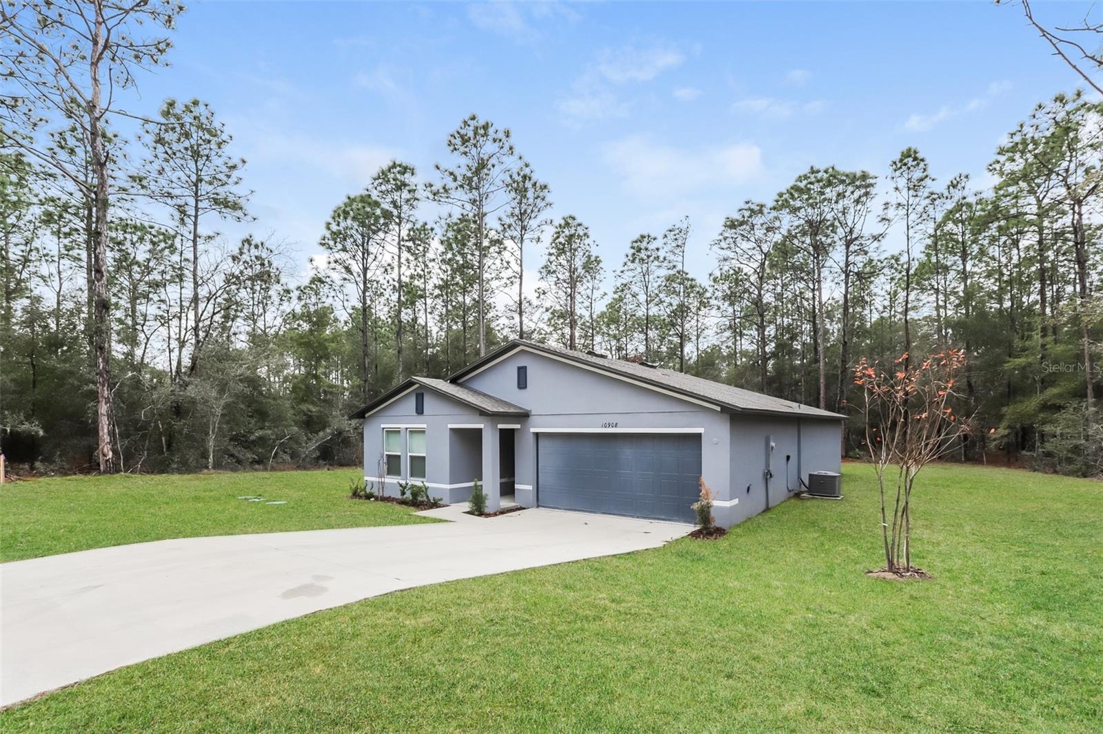 10908 N DRAGONIS DR, CITRUS SPRINGS, FL, 34433