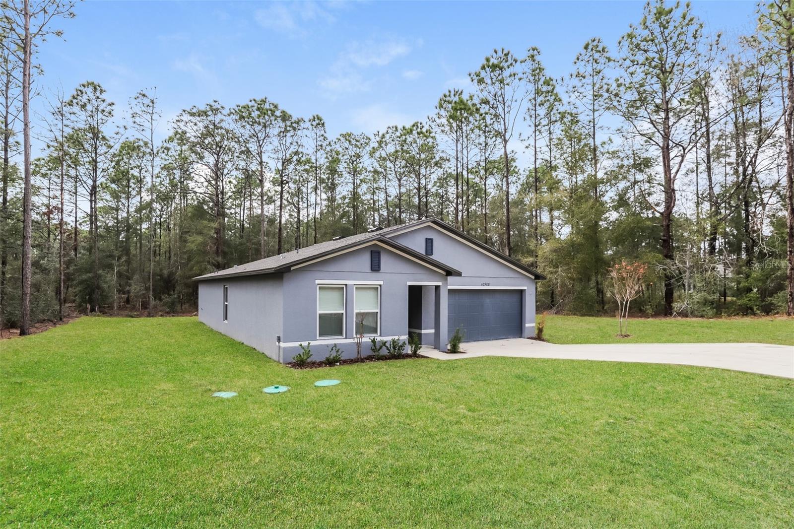 10908 N DRAGONIS DR, CITRUS SPRINGS, FL, 34433