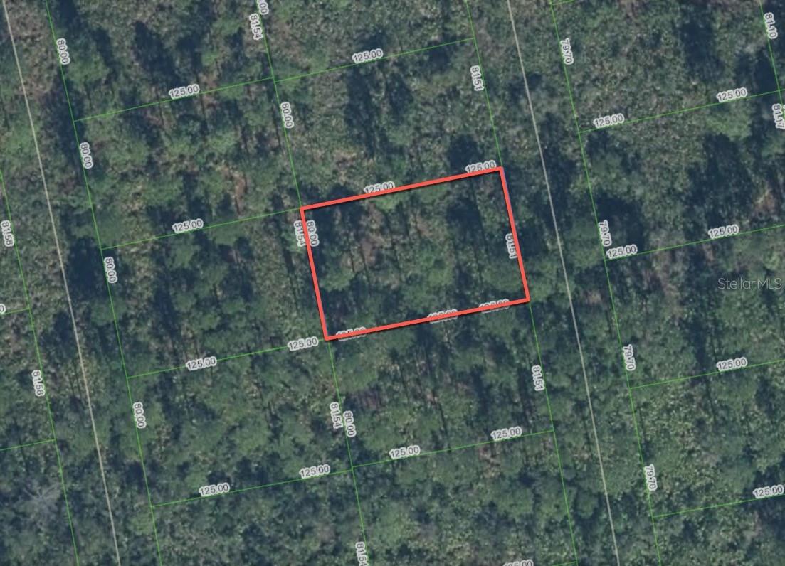 4411 REANN AVE, SEBRING, FL, 33872