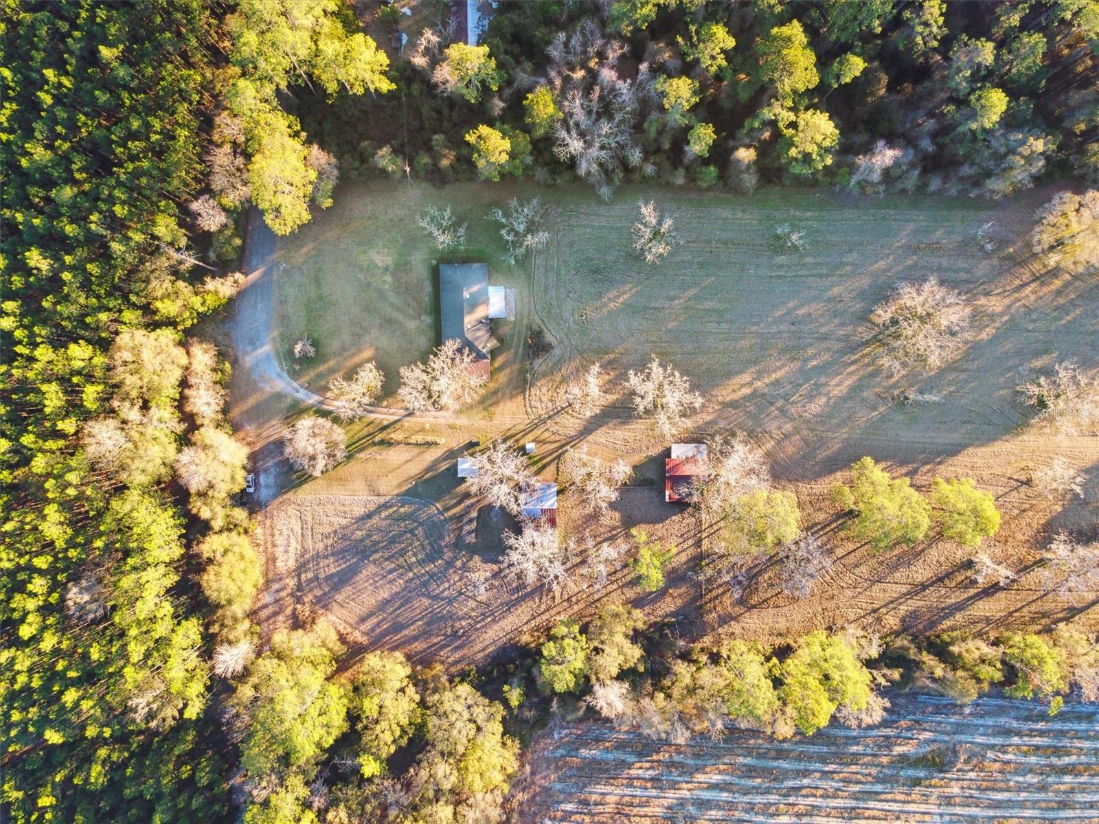 3632 NW 198TH ST, STARKE, FL, 32091