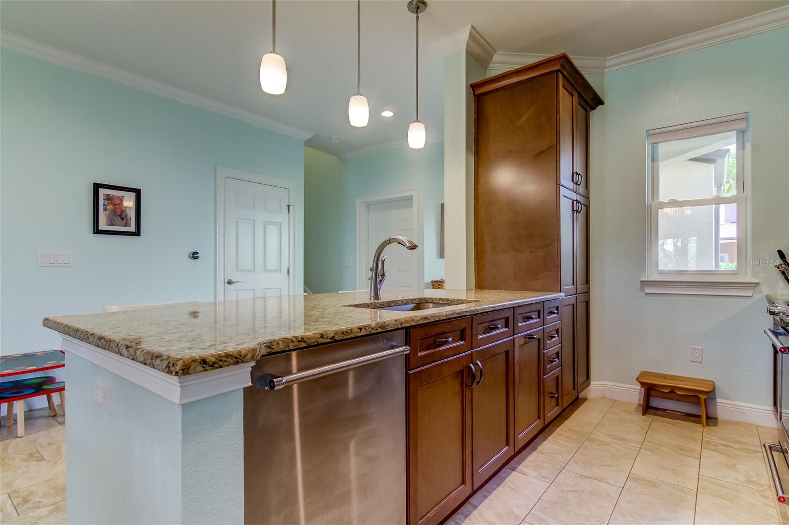 820 DATE PALM LN, ST PETERSBURG, FL, 33707