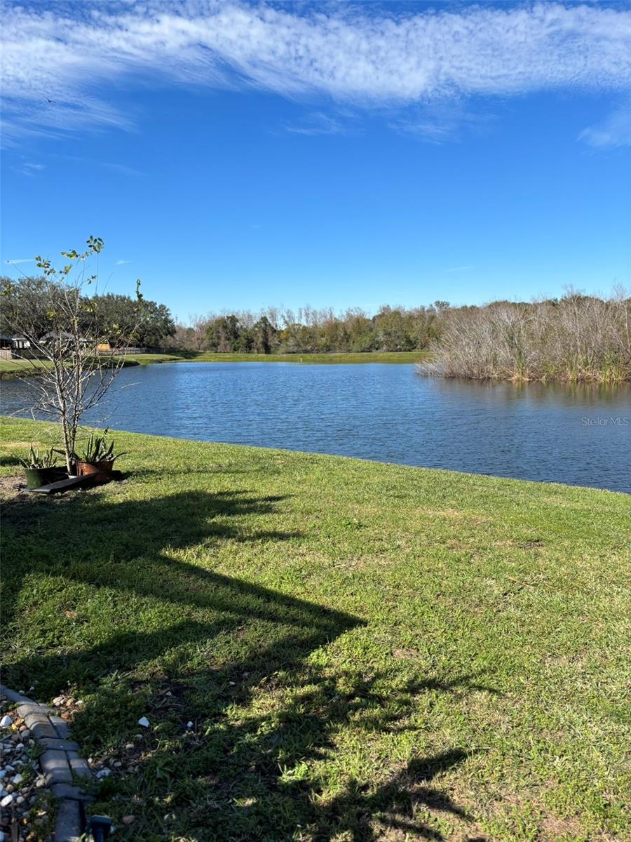 1112 LAKE SHORE RANCH DR, SEFFNER, FL, 33584
