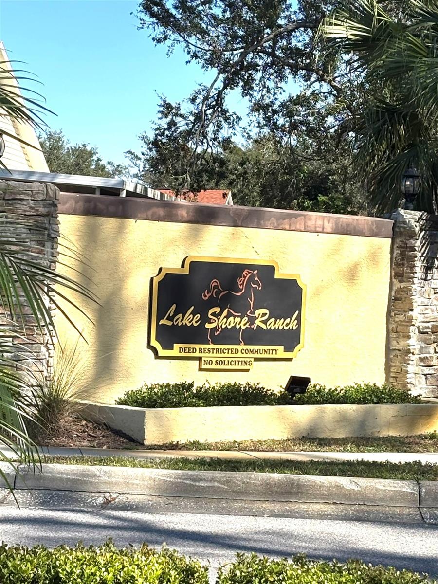 1112 LAKE SHORE RANCH DR, SEFFNER, FL, 33584
