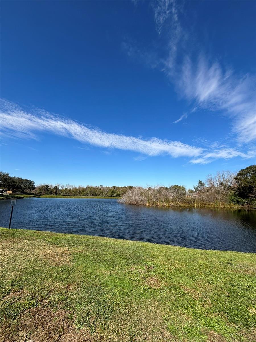 1112 LAKE SHORE RANCH DR, SEFFNER, FL, 33584