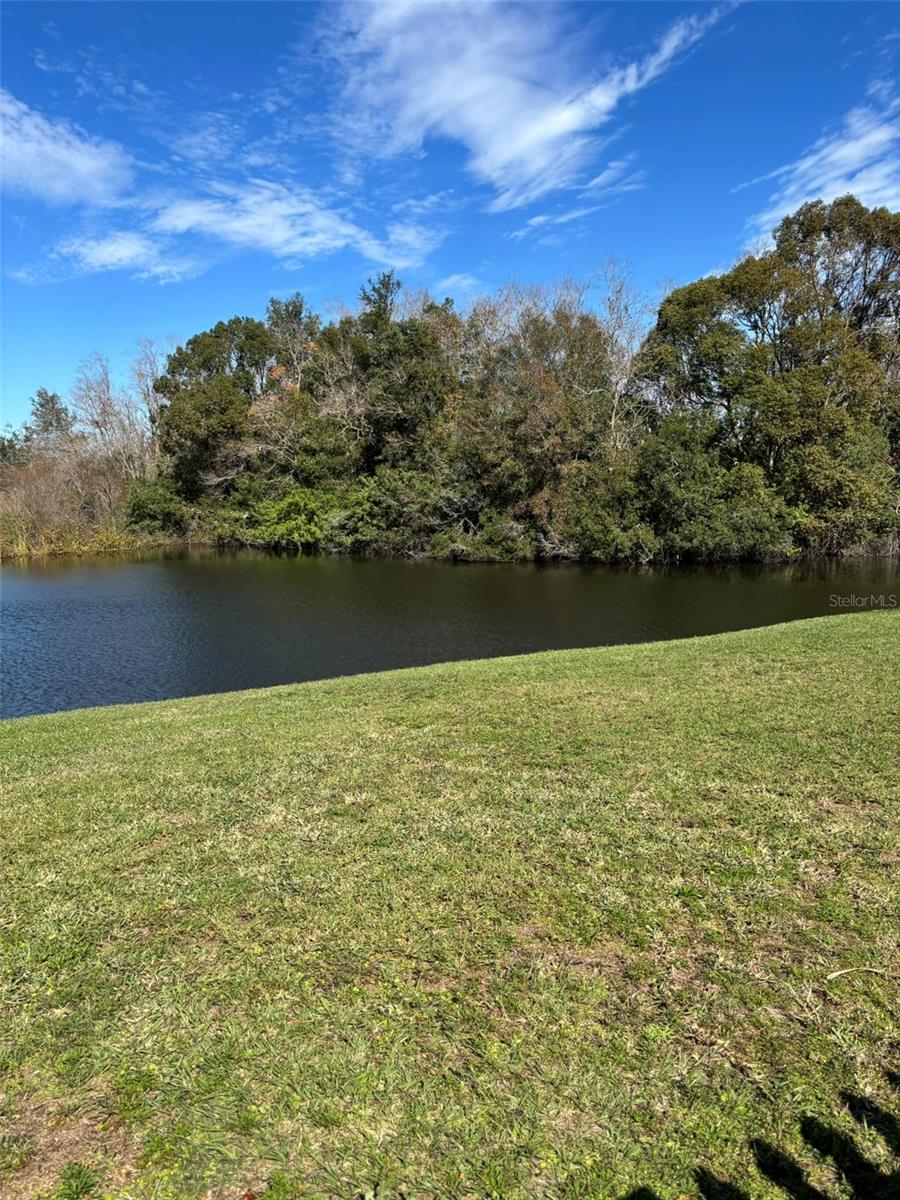 1112 LAKE SHORE RANCH DR, SEFFNER, FL, 33584