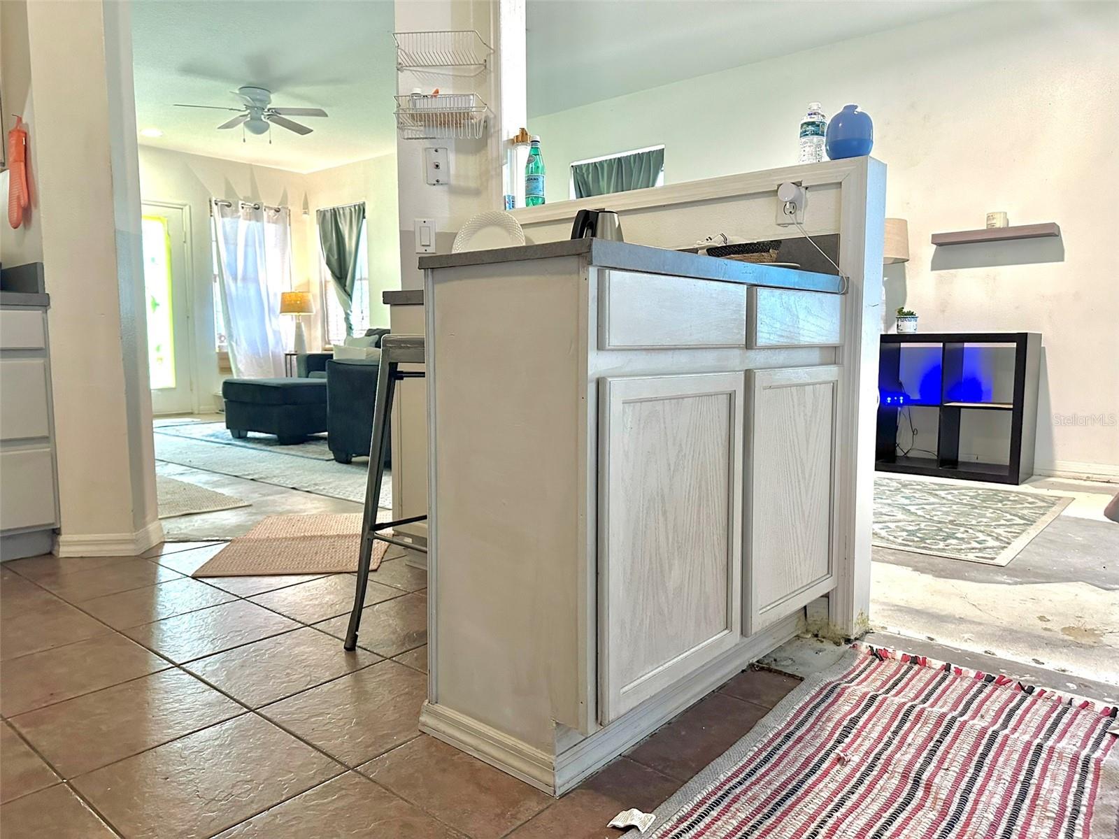 1112 LAKE SHORE RANCH DR, SEFFNER, FL, 33584