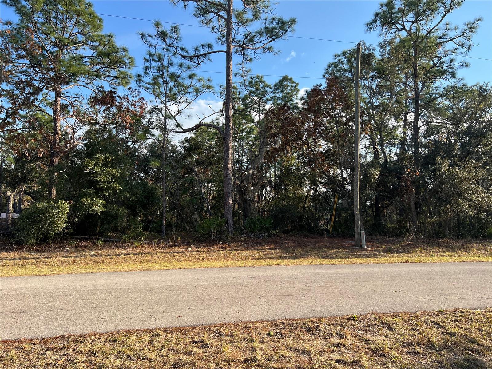 0 SW 152ND ST, OCALA, FL, 34473