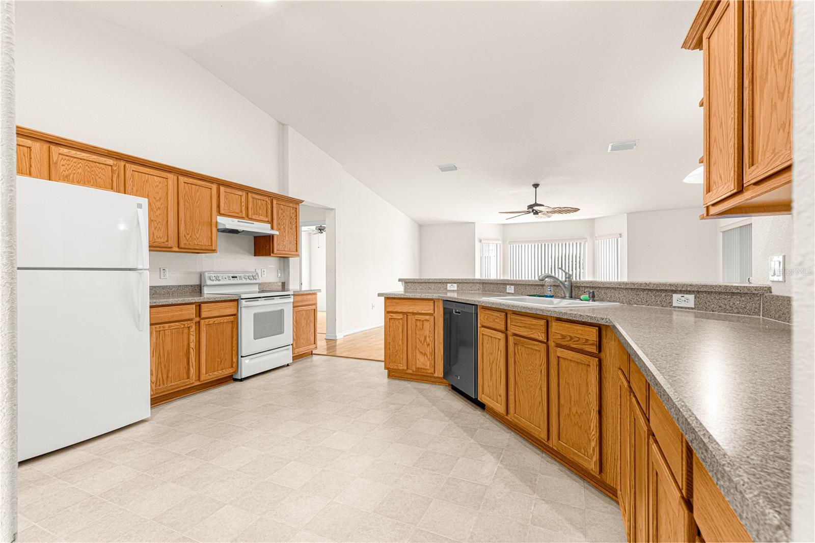 13957 SE 86TH CIR, SUMMERFIELD, FL, 34491