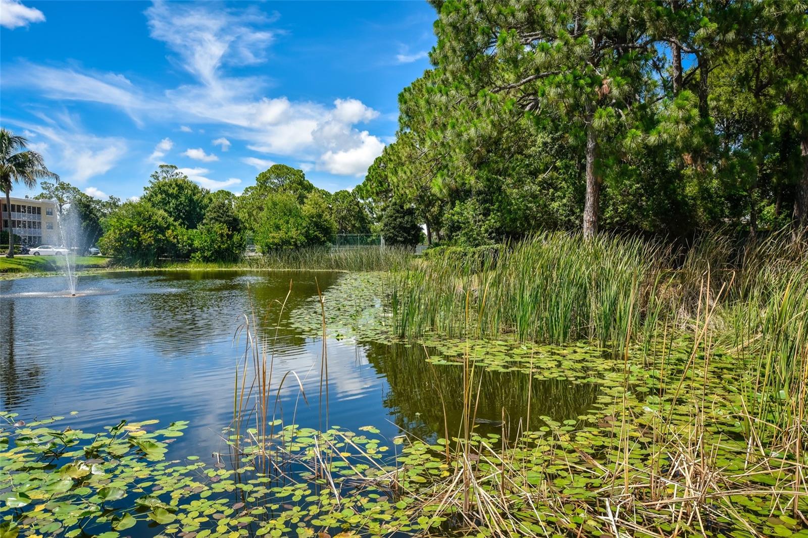 2630 COCONUT BAY LN 2C #623, SARASOTA, FL, 34237