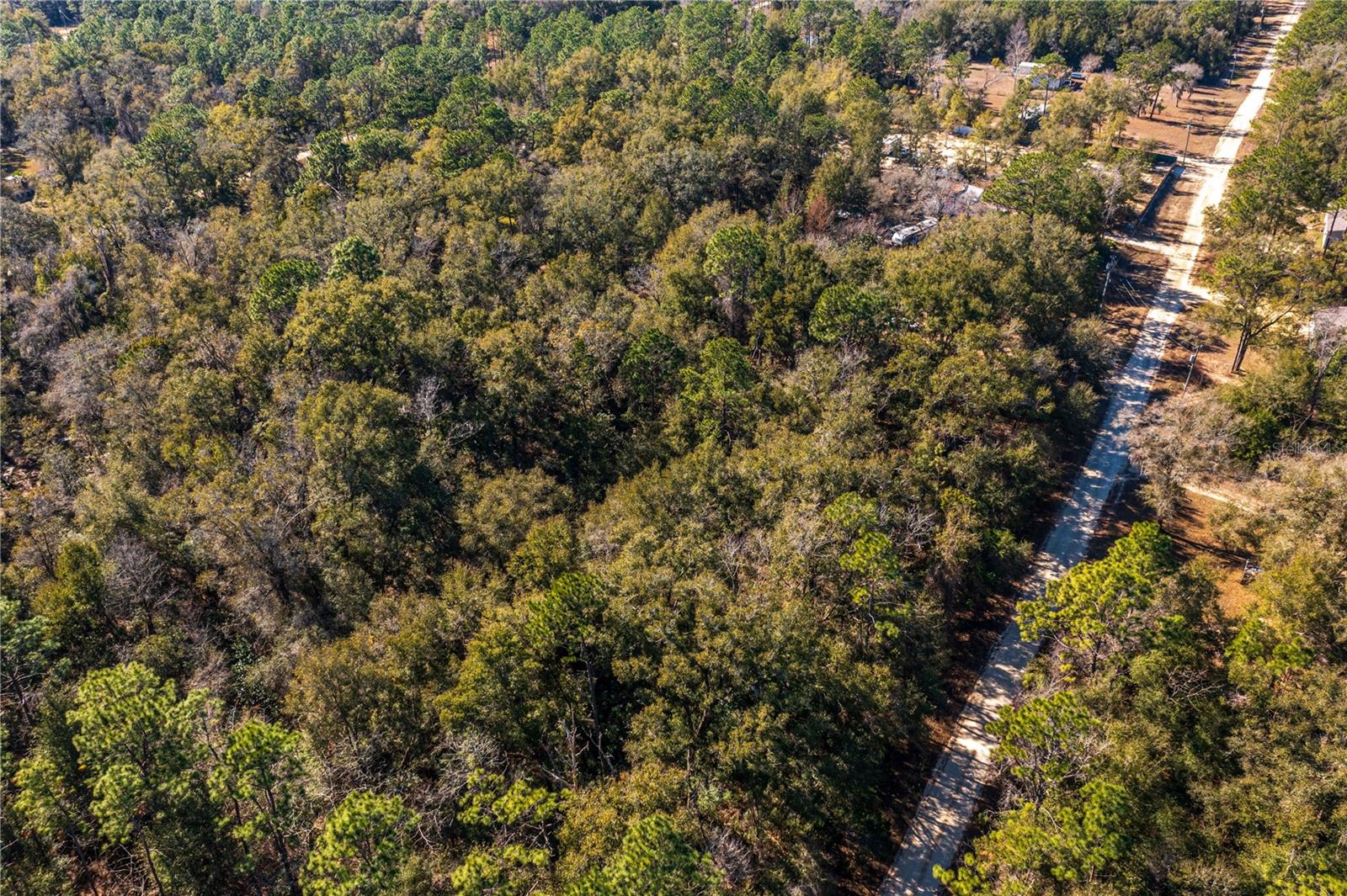 SW 20TH LN, OCALA, FL, 34481