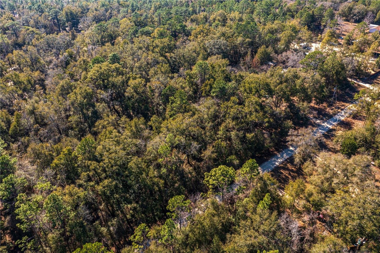 SW 20TH LN, OCALA, FL, 34481