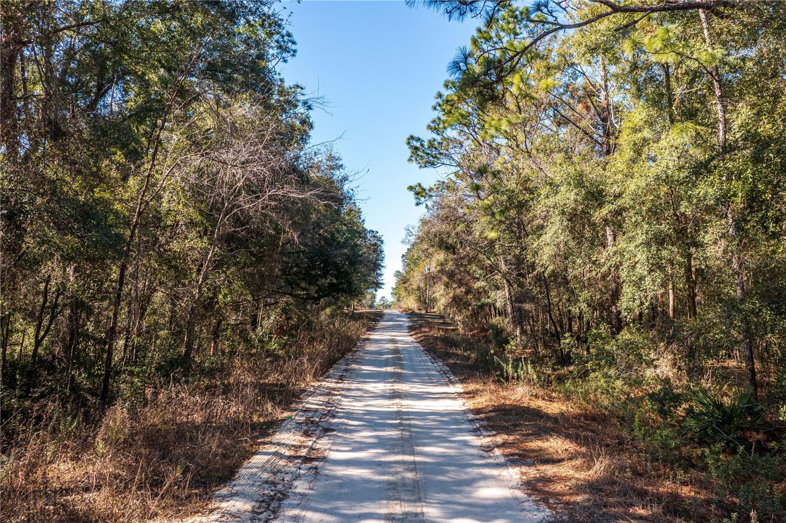 SW 20TH LN, OCALA, FL, 34481