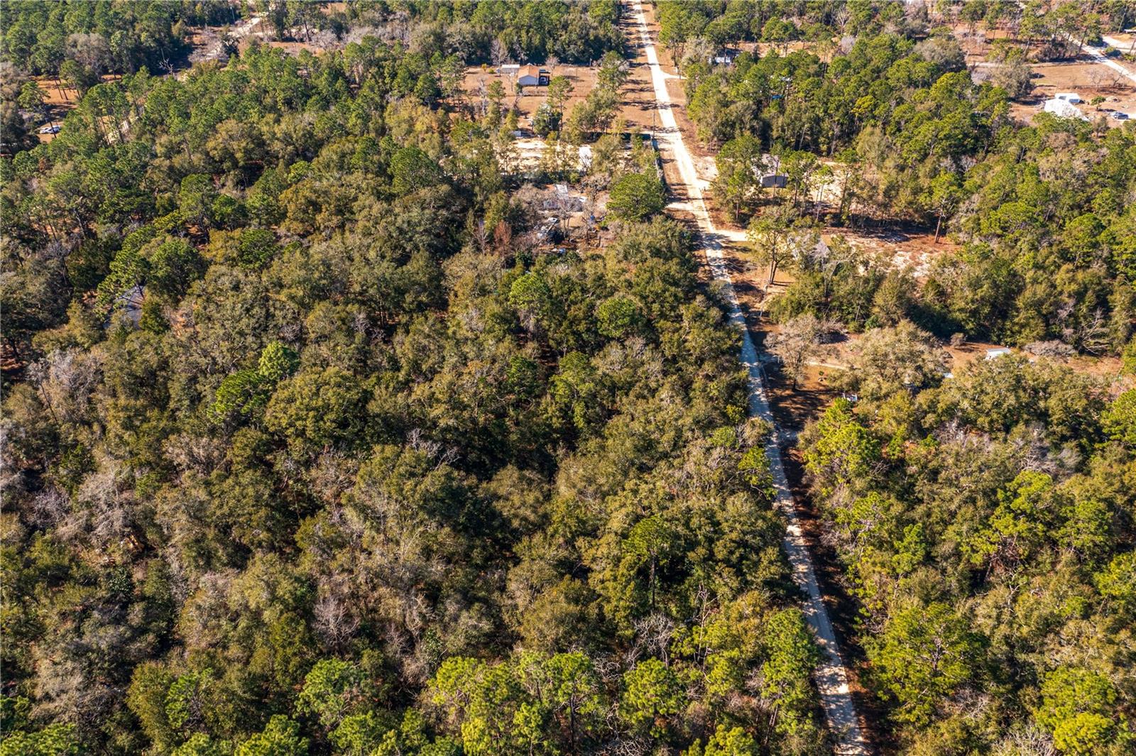 SW 20TH LN, OCALA, FL, 34481