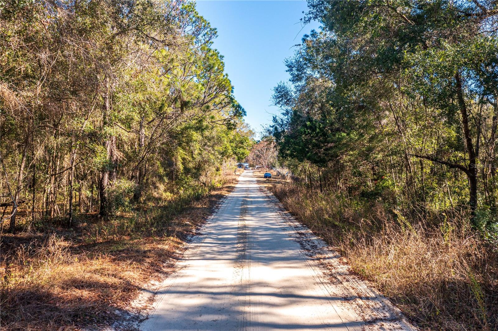 SW 20TH LN, OCALA, FL, 34481