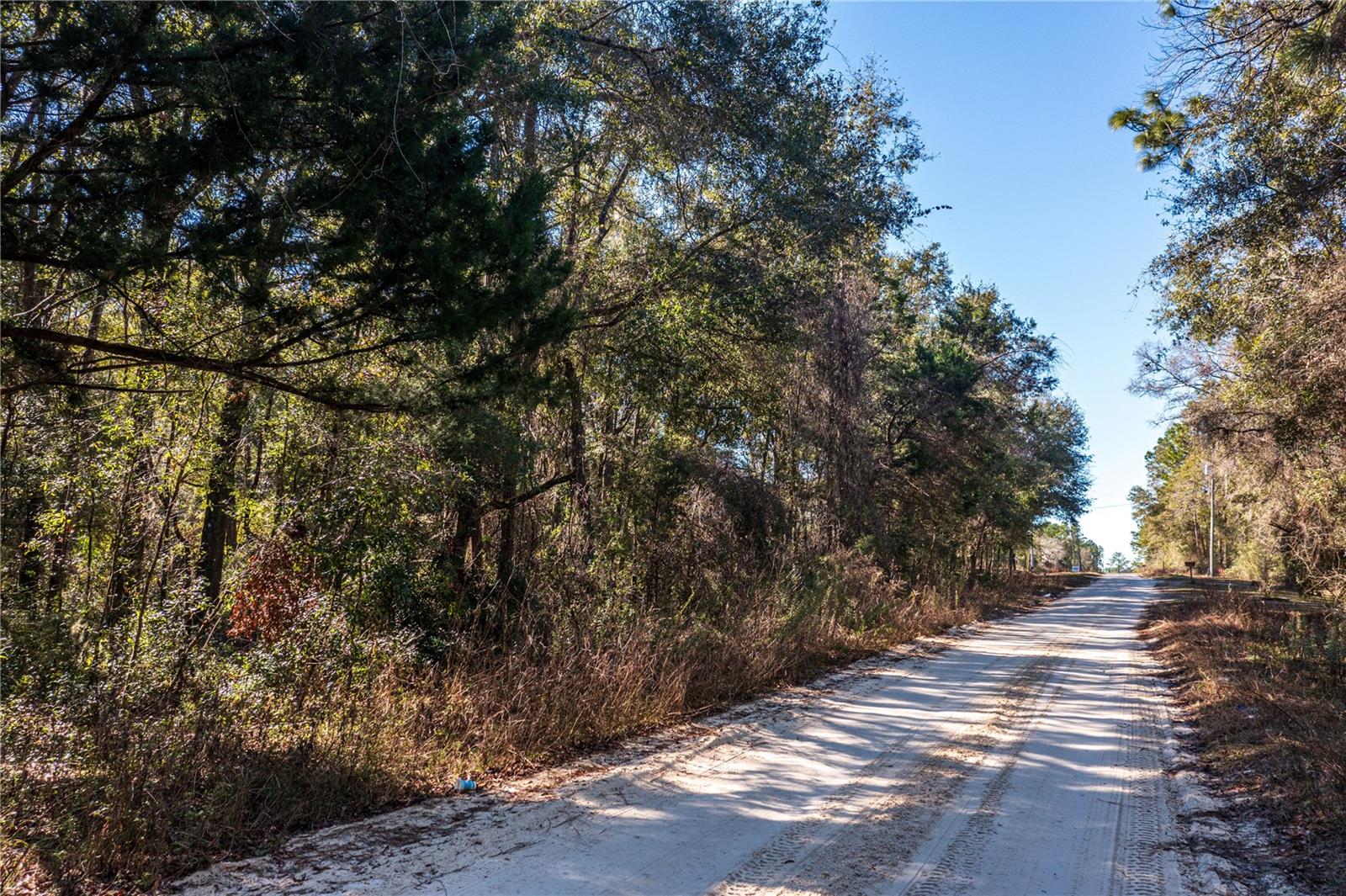 SW 20TH LN, OCALA, FL, 34481