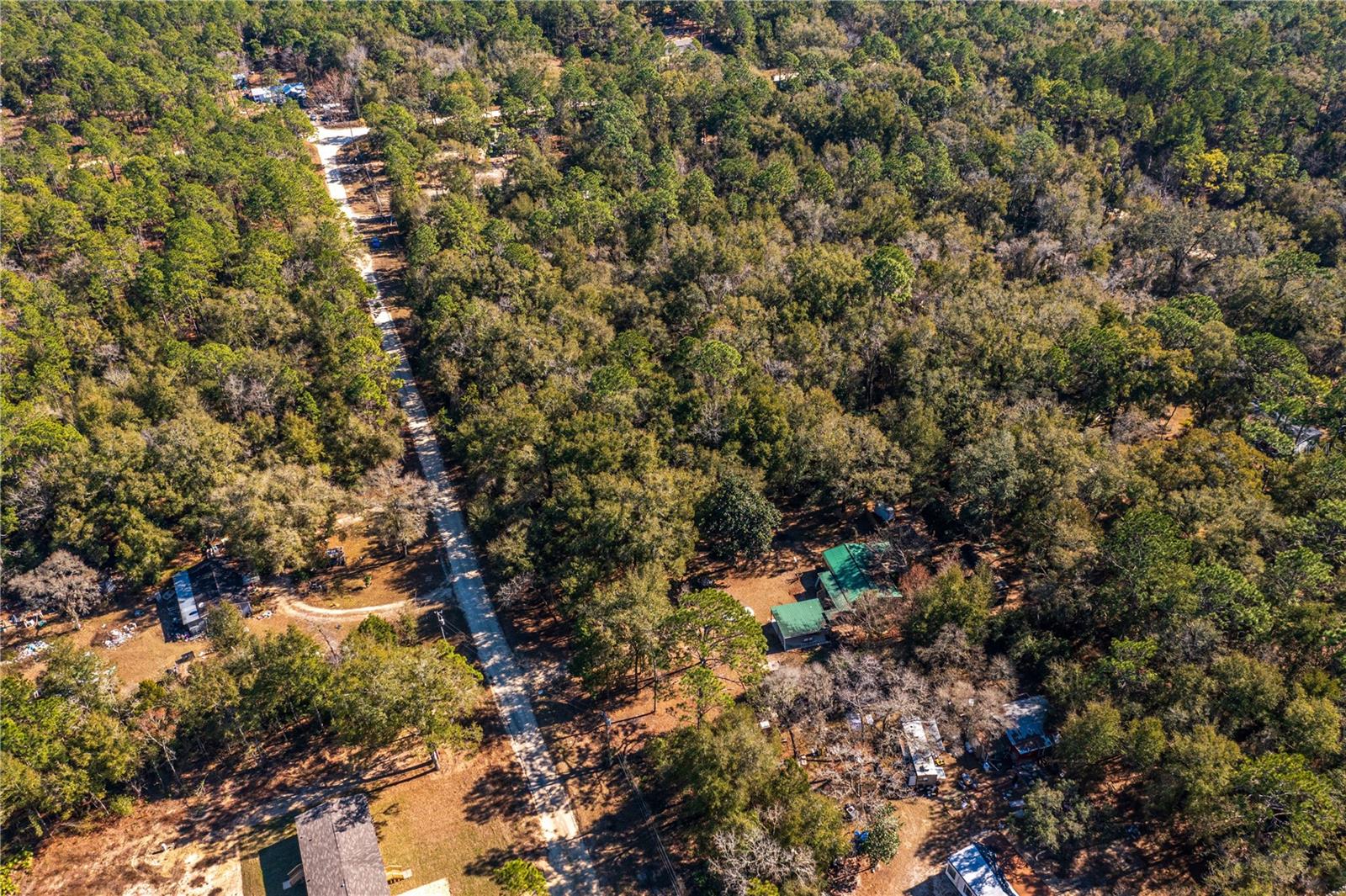SW 20TH LN, OCALA, FL, 34481