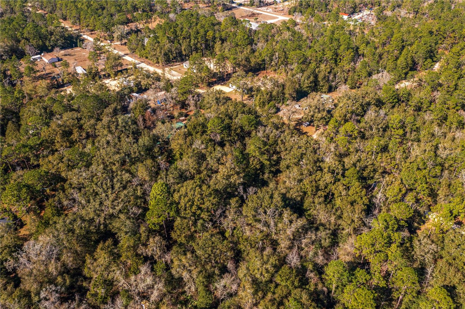 SW 20TH LN, OCALA, FL, 34481