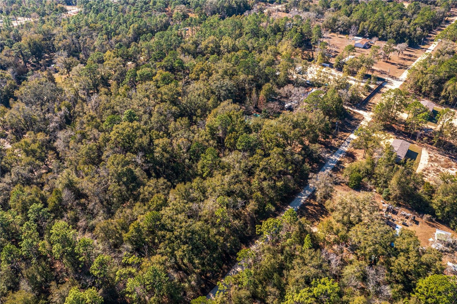 SW 20TH LN, OCALA, FL, 34481
