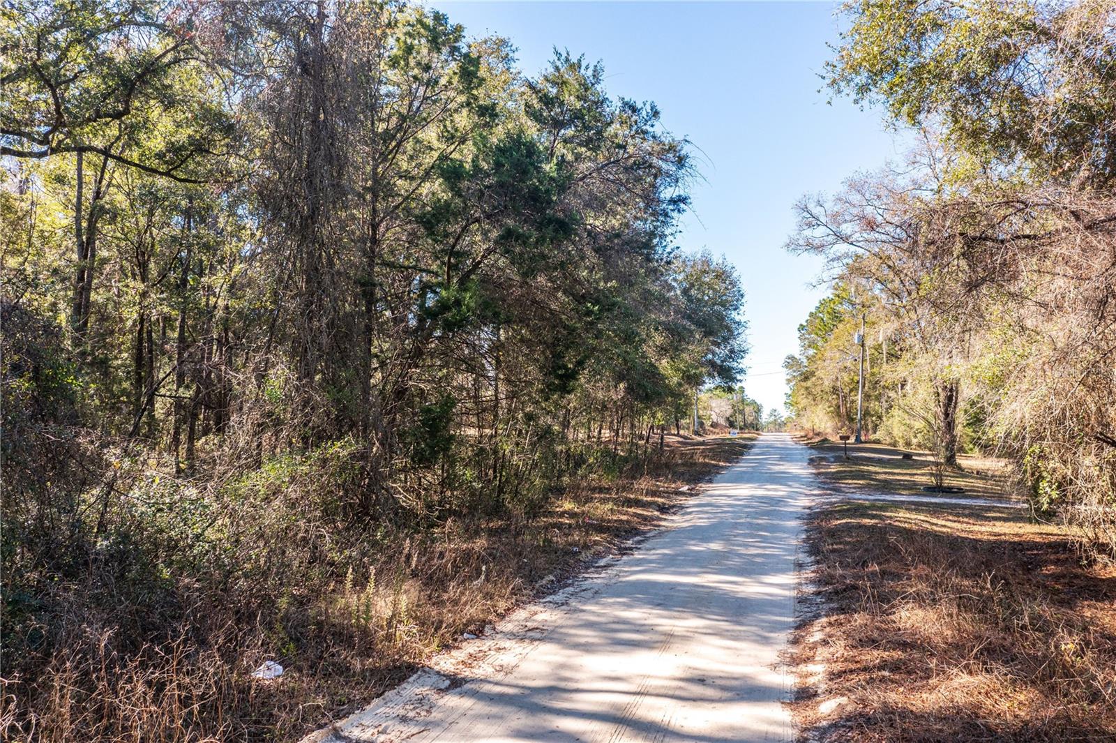 SW 20TH LN, OCALA, FL, 34481