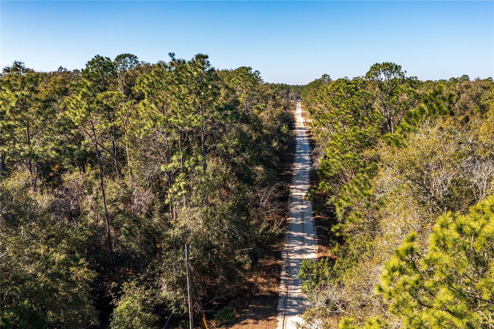 SW 20TH LN, OCALA, FL, 34481